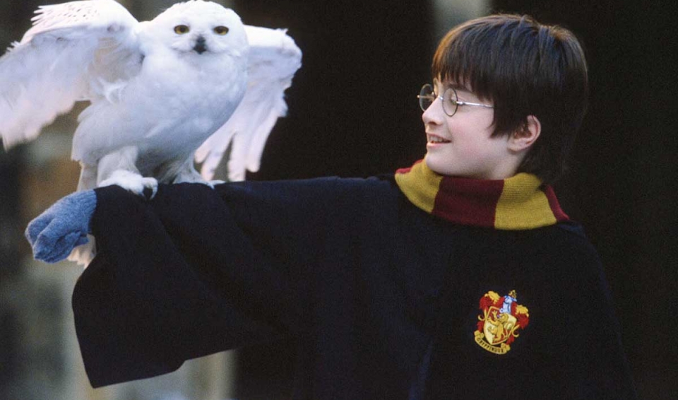 10 feitiços de Harry Potter que não estavam nos filmes - Nerd ao